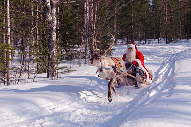 Santa Claus on Reindeer — White, Festive