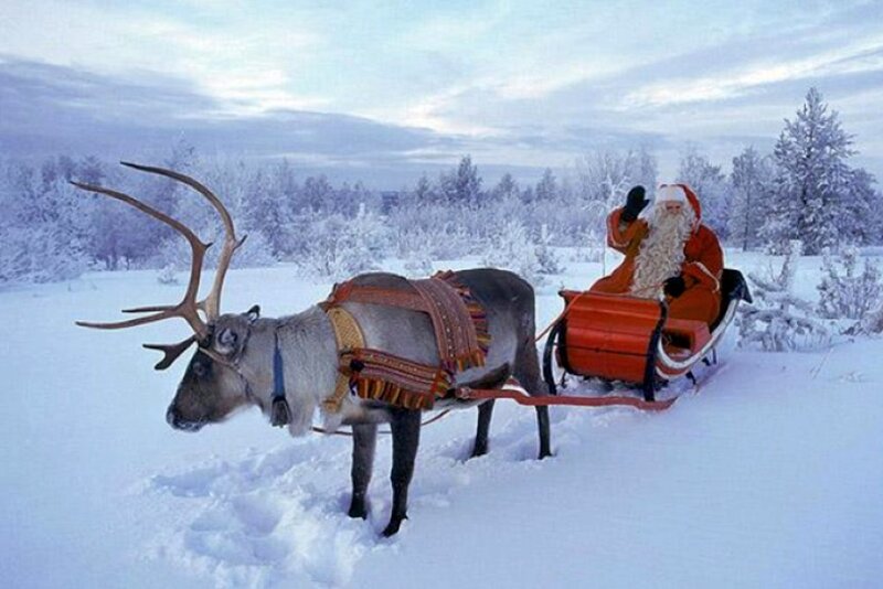 Santa Claus on Reindeer — White