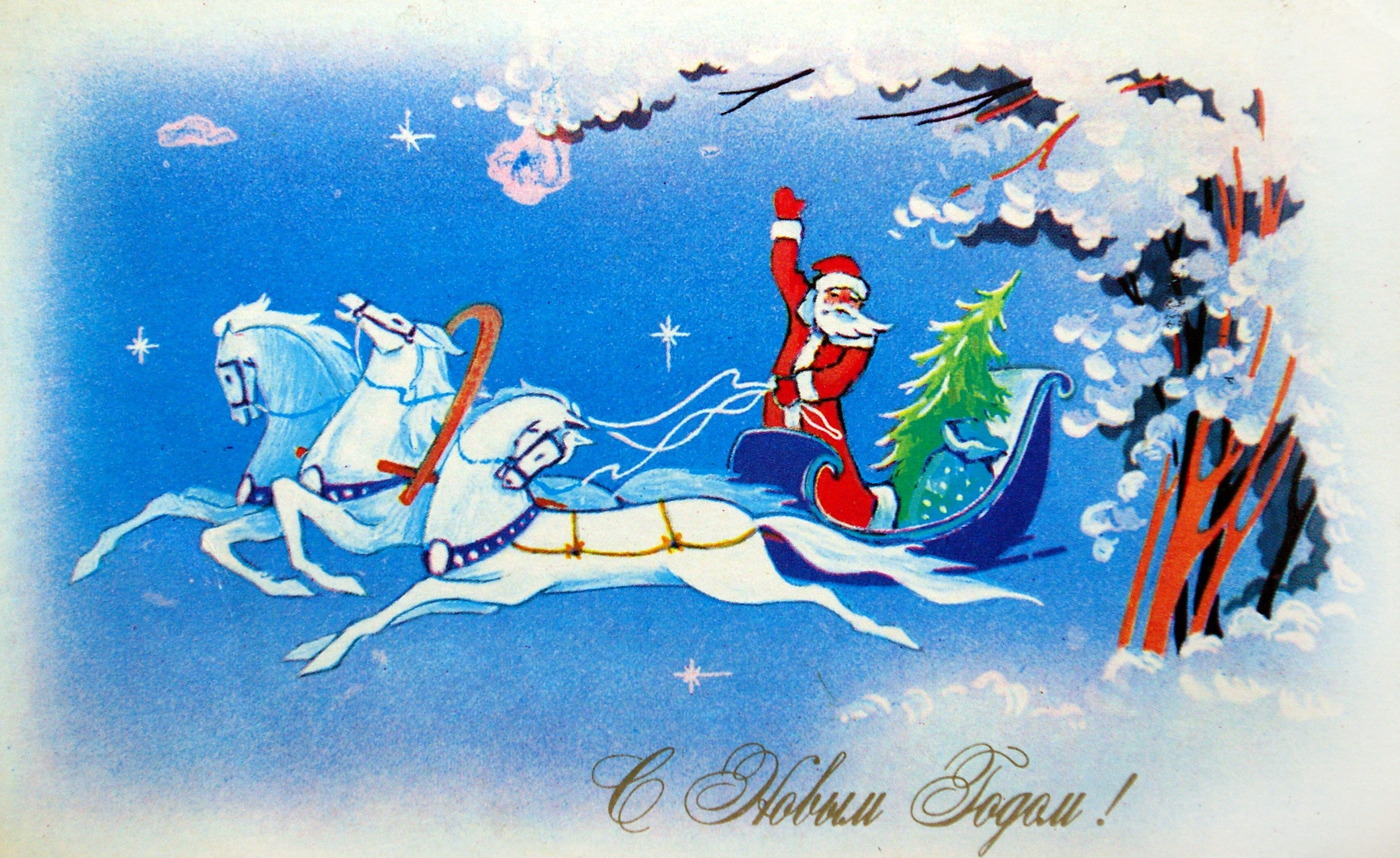 Santa Claus on sleigh