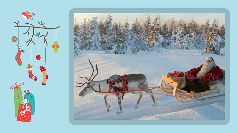 Santa Claus on Sleigh — White, Festive, Winter