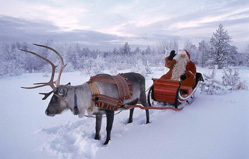 Santa Claus on Sleigh — White, Serene