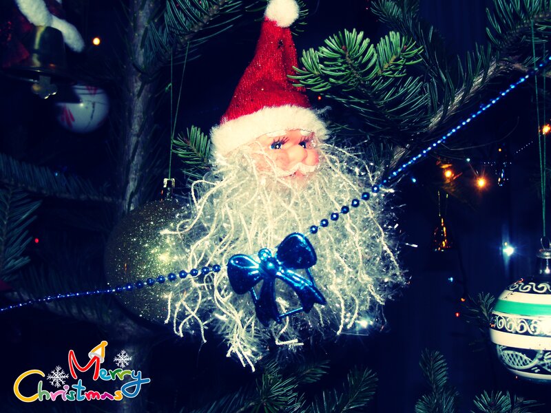 Santa Claus Ornament — Green