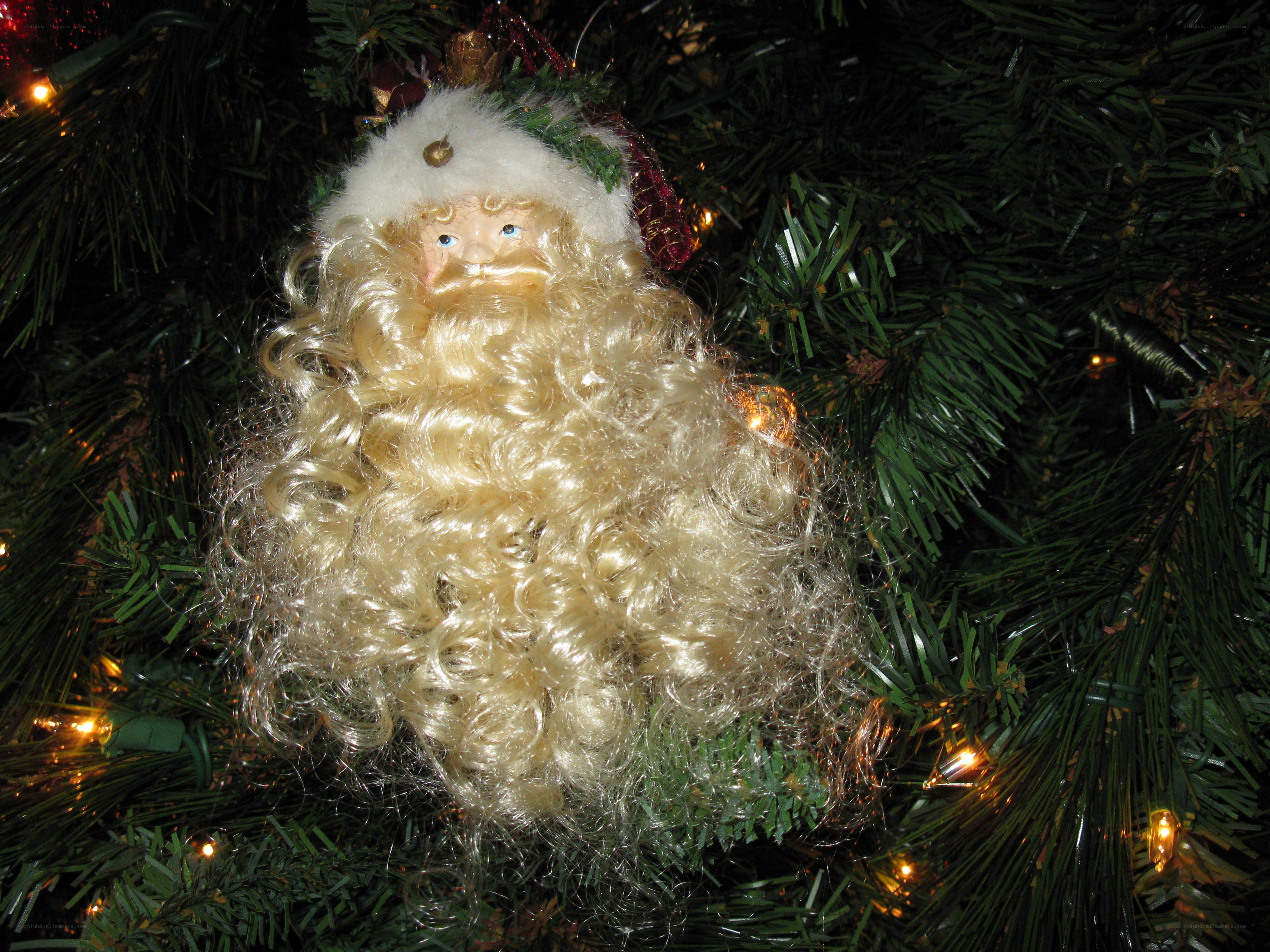 Santa Claus ornament on tree