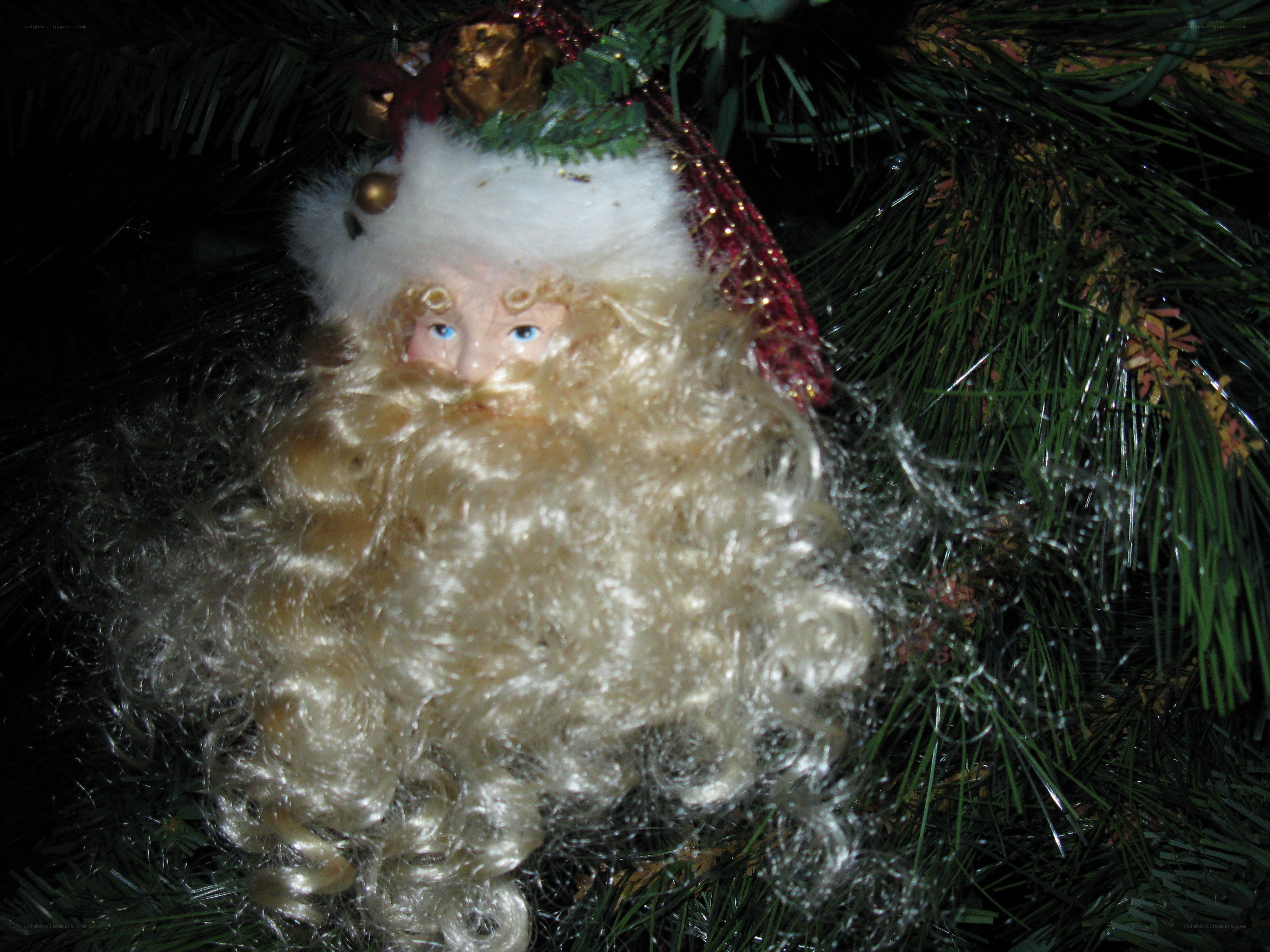 Santa Claus ornament on tree