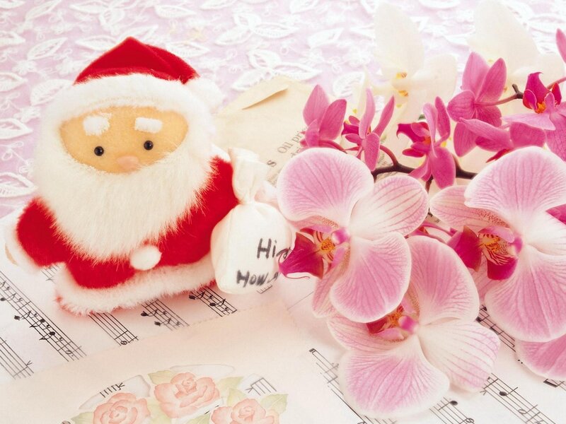 Santa Claus Plush Toy — Pink, Festive