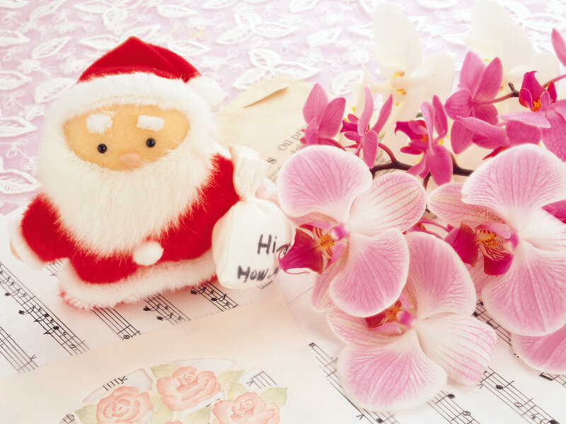 Santa Claus Plush Toy — Pink