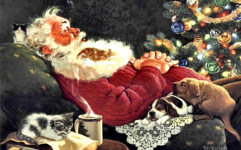 Santa Claus Sleeping — Red, Peaceful, Winter