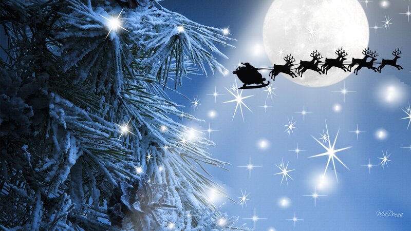 Santa Claus Sleigh — Blue