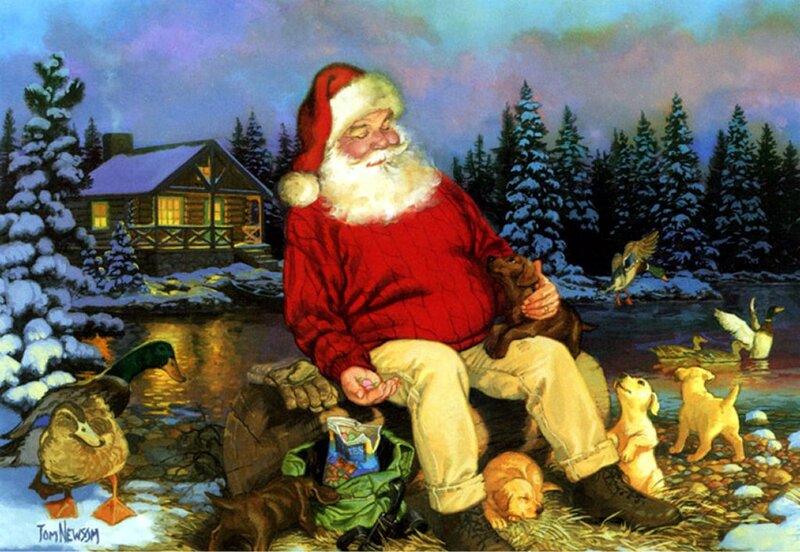 Santa Claus with Animals — Red, Peaceful, Winter, Illustration, Ducks