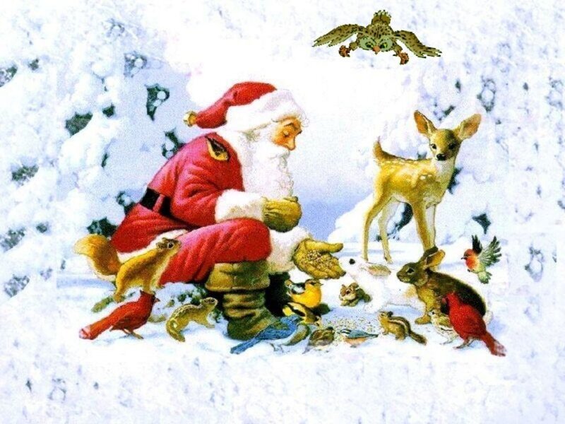 Santa Claus with Animals — White