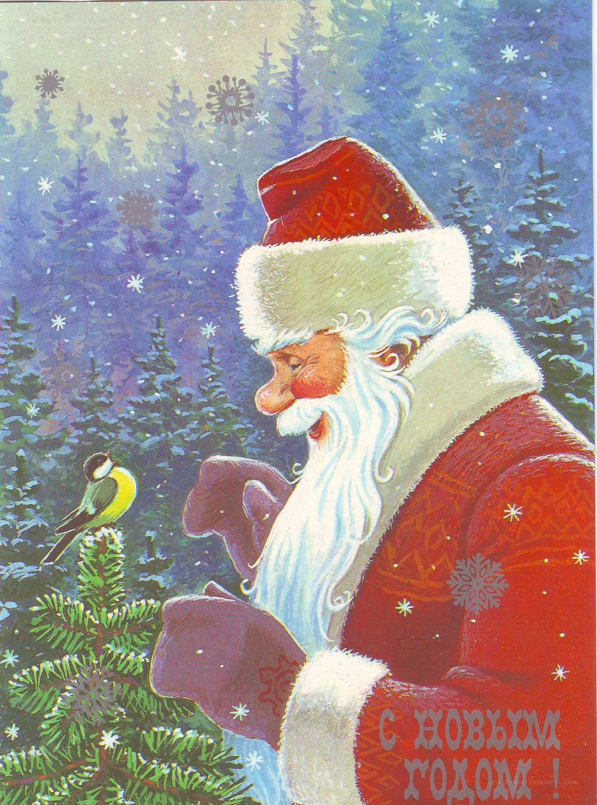 Santa Claus with bird in snow