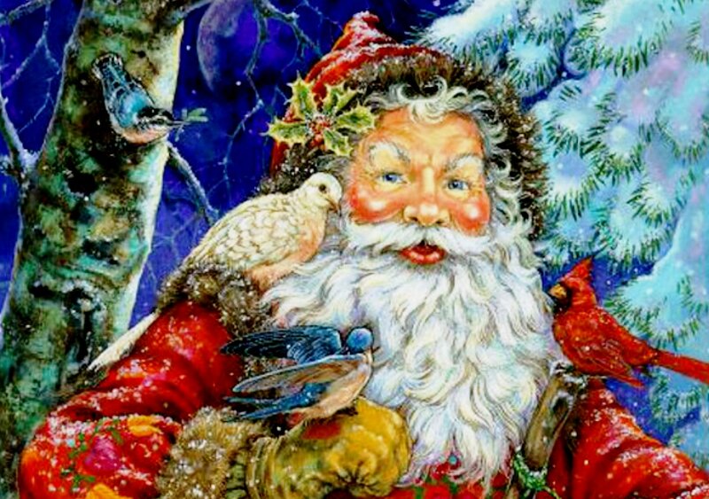 Santa Claus with Birds — Red