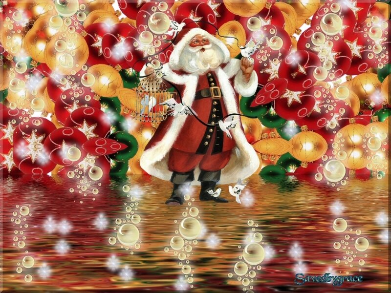 Santa Claus with Birds