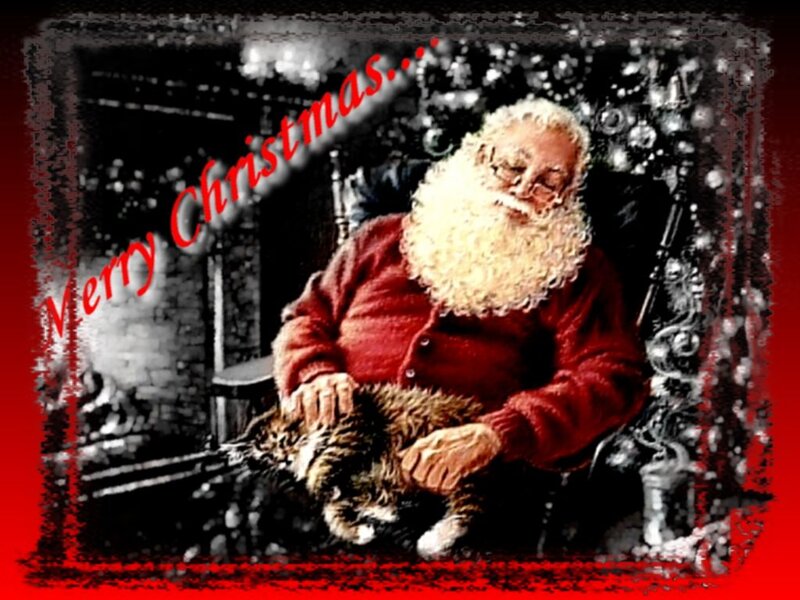 Santa Claus with Cat