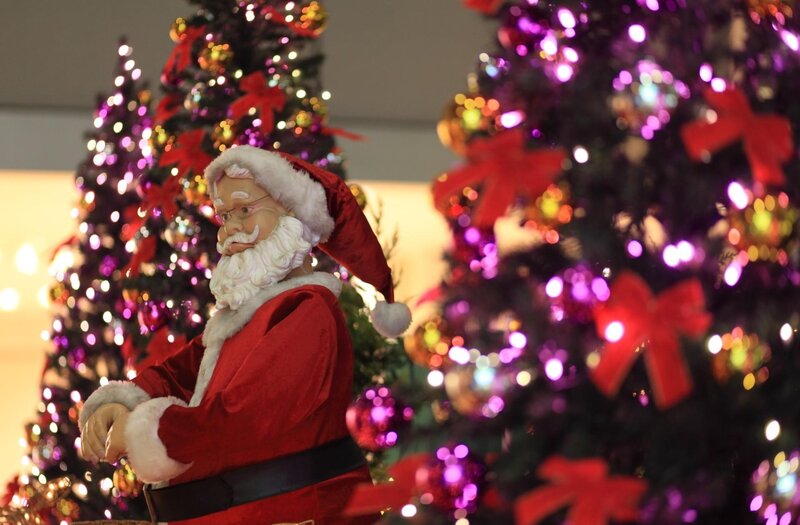 Santa Claus with Christmas trees