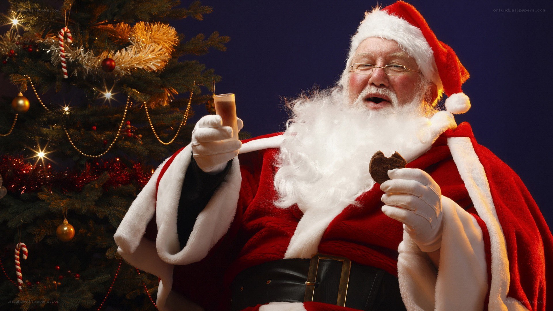 Santa Claus with cookie and drink