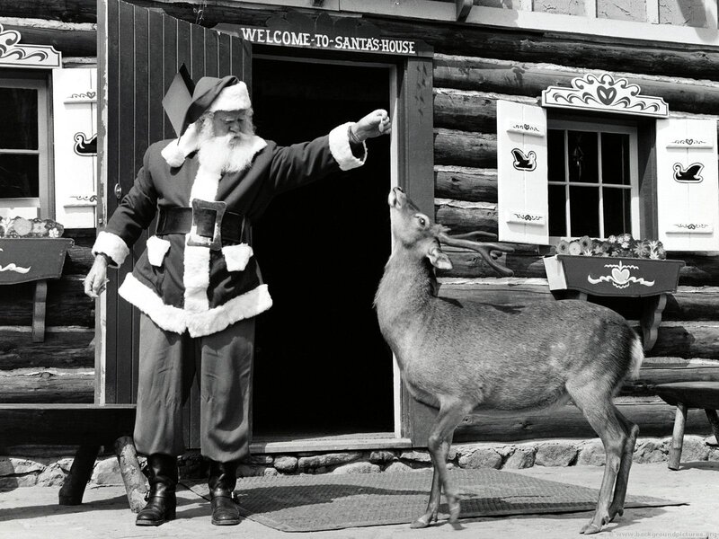 Santa Claus with Deer — Black