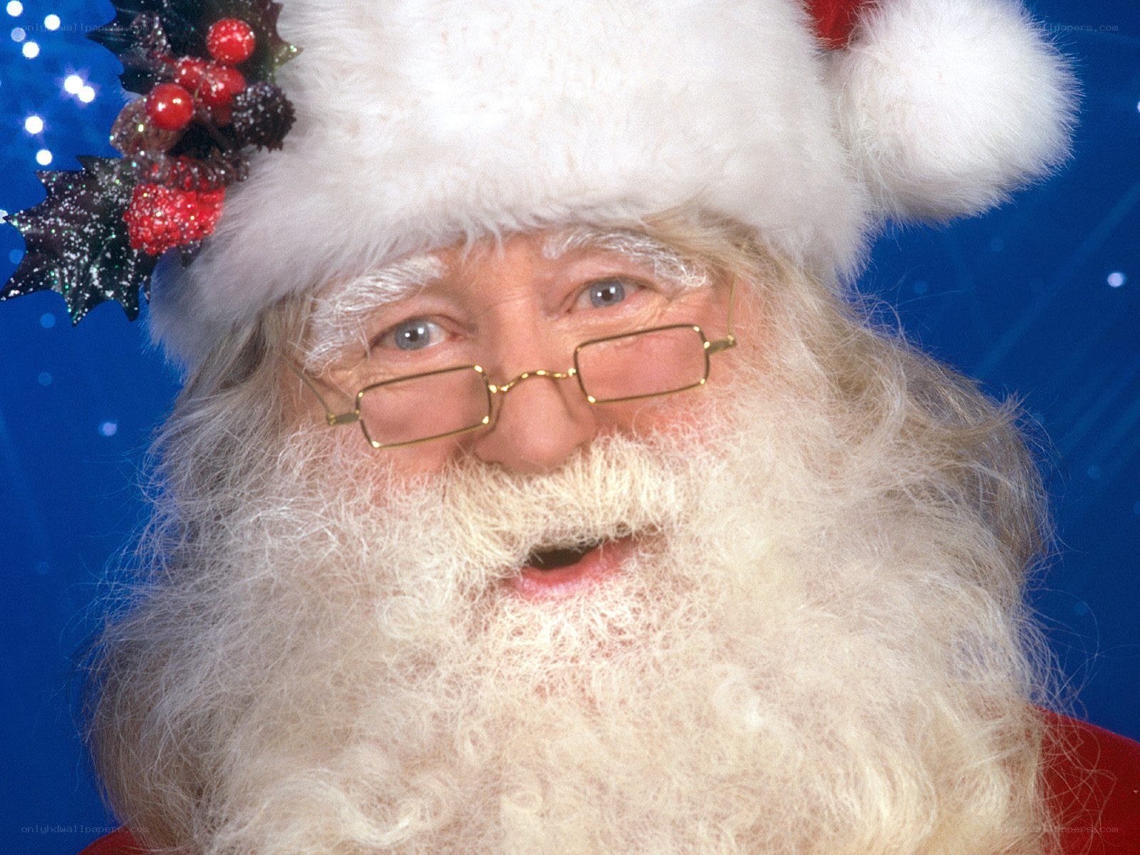 Santa Claus with holly decoration