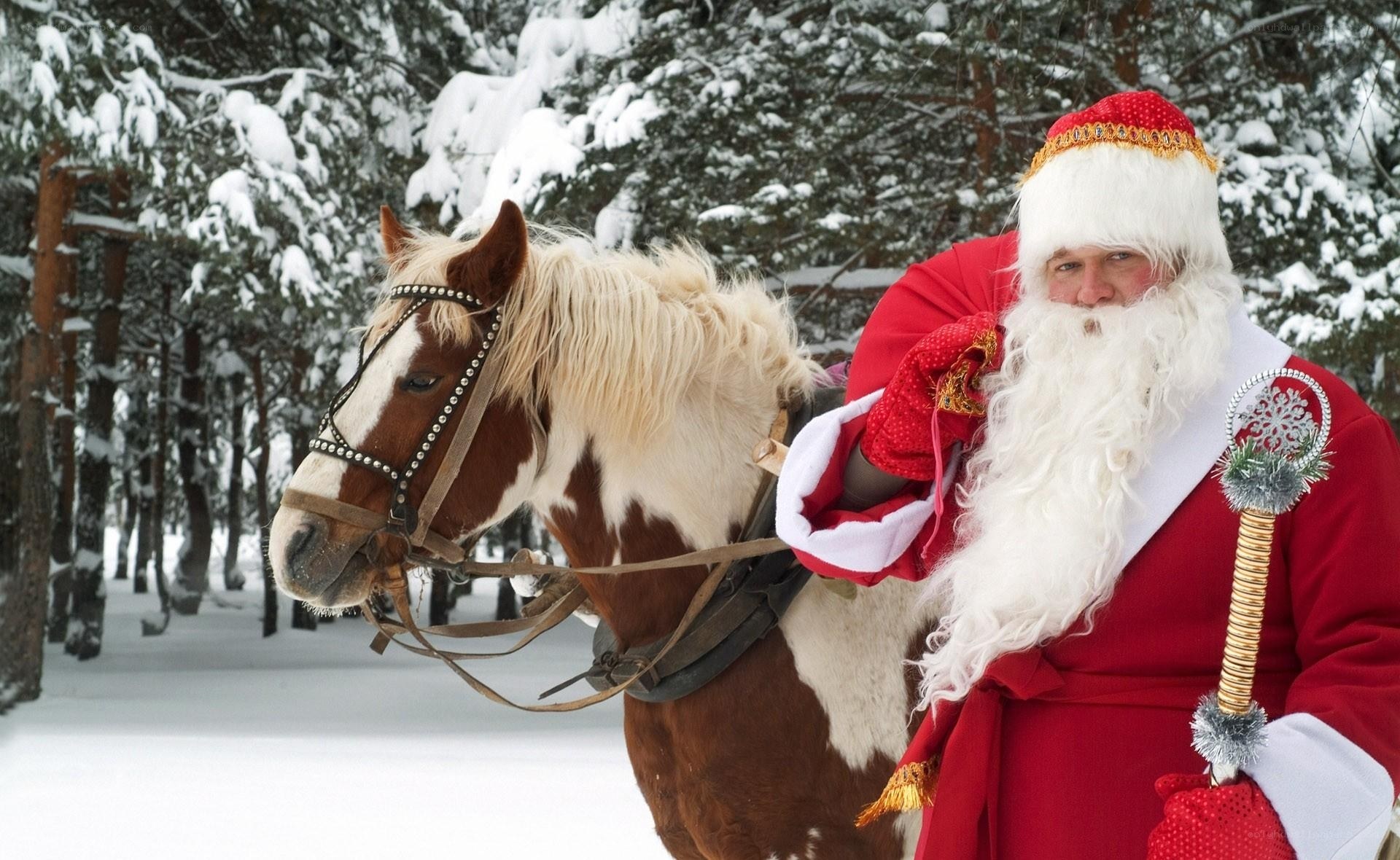 Santa Claus with horse in snow