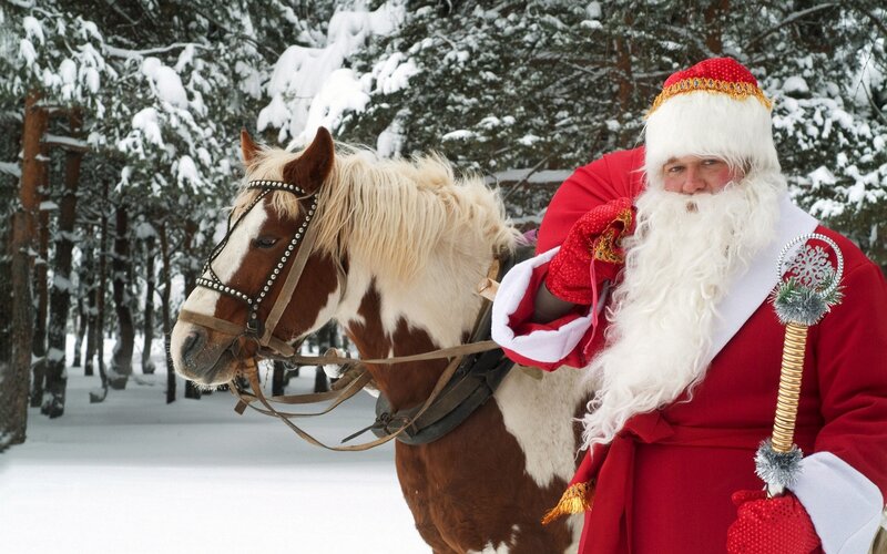 Santa Claus with horse in snow