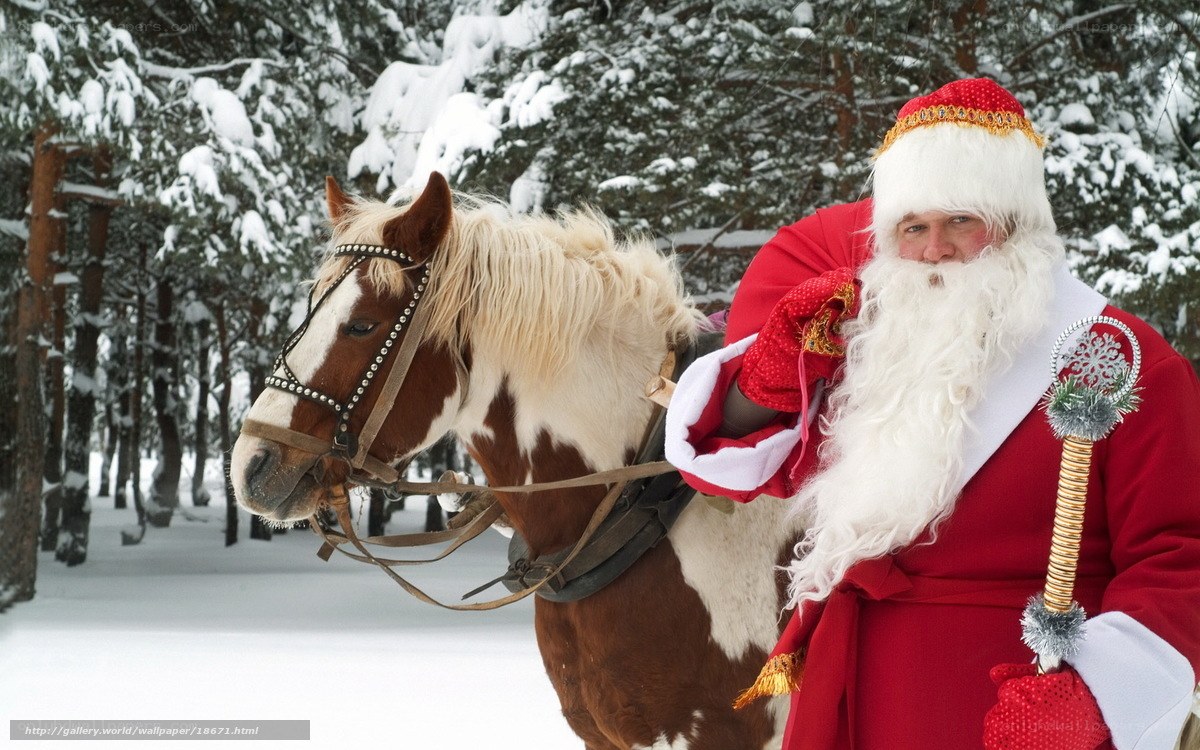 Santa Claus with horse in snow