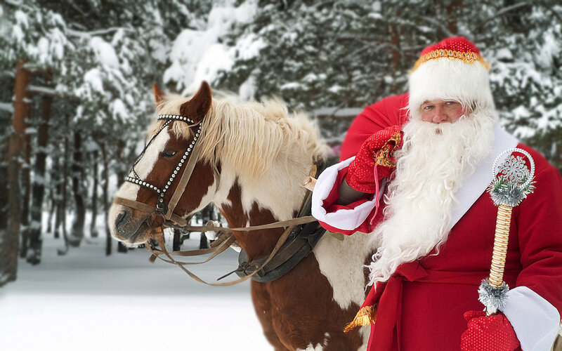 Santa Claus with Horse — Red, Festive, Winter, Photograph, Forest