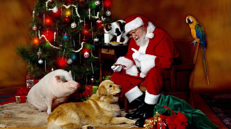 Santa Claus with Pets — Red, Festive