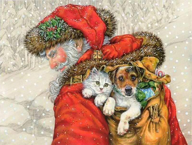 Santa Claus with Pets — Red, Festive, Winter