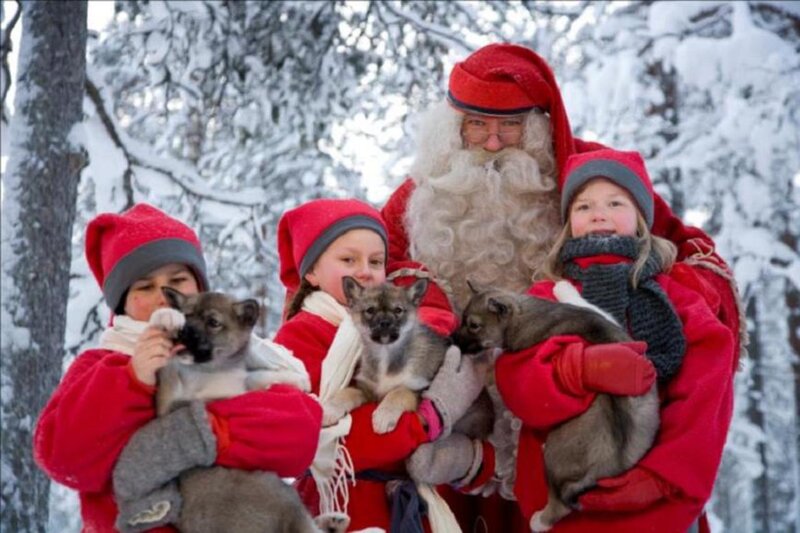Santa Claus with Puppies — Red, Festive