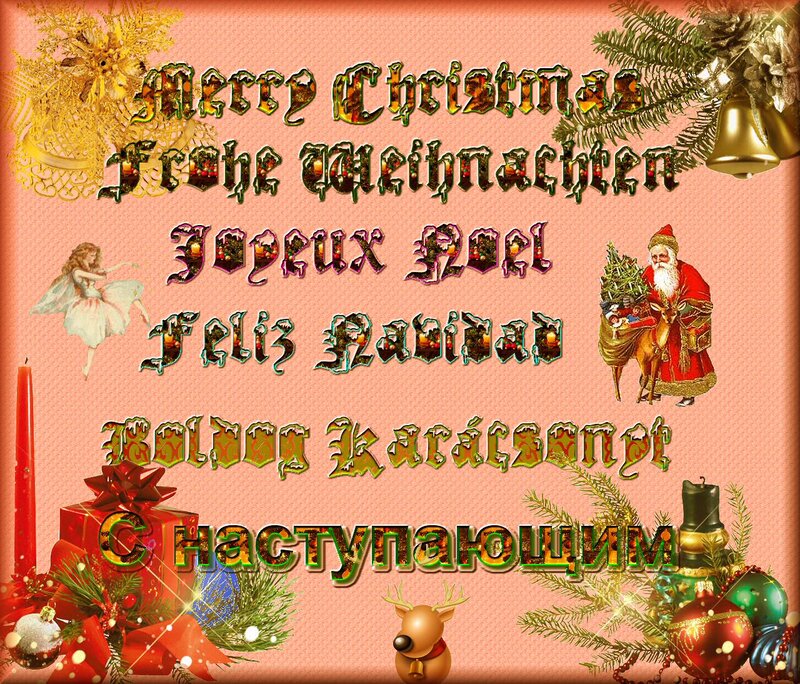 Santa Claus with Reindeer — Pink, Festive