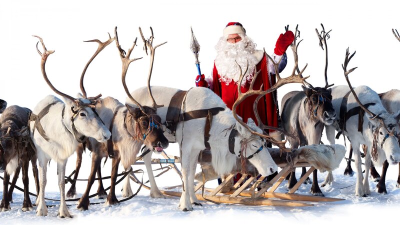Santa Claus with Reindeer — White, Festive, Winter, Photograph, Sleigh, Staff