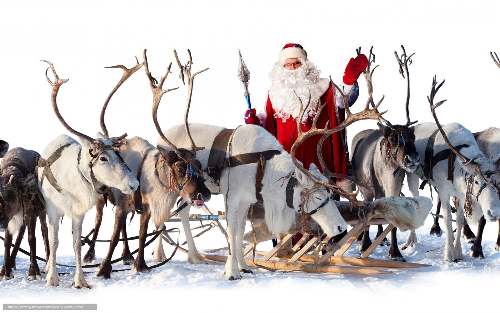 Santa Claus with reindeer