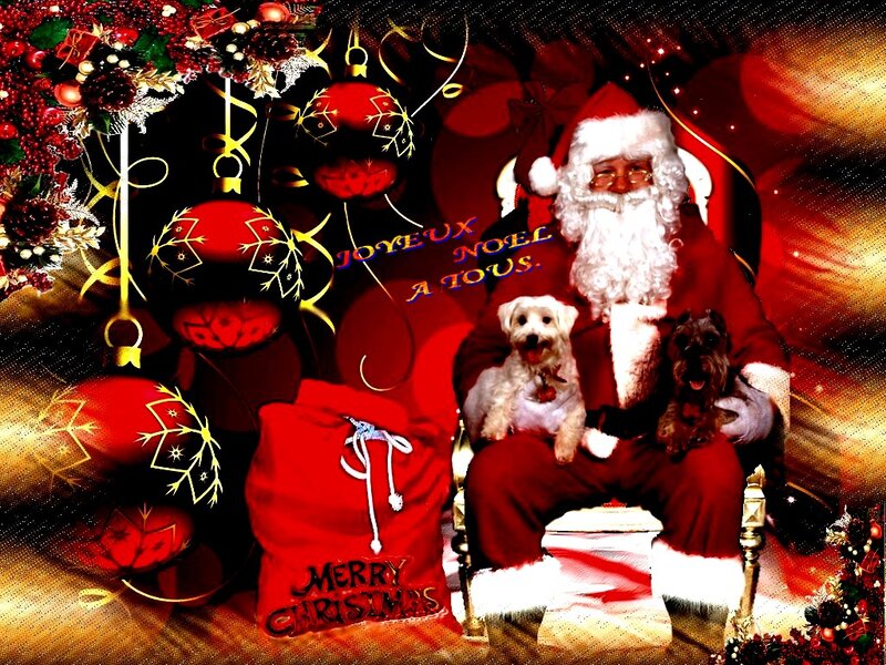 Santa Claus with Two Dogs