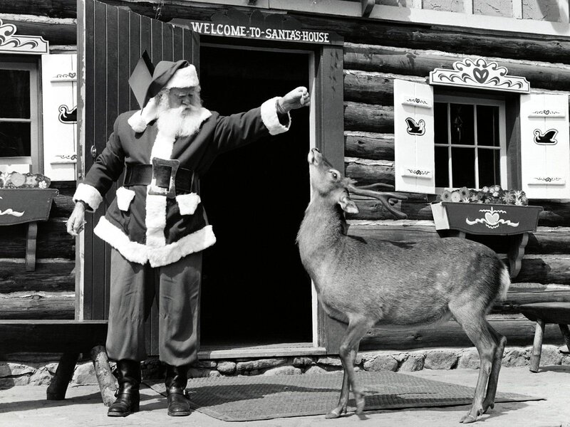 Santa feeding a reindeer