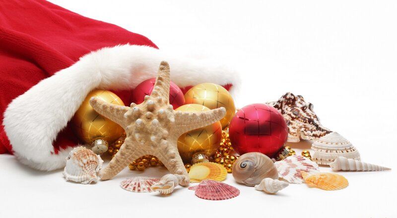Santa Hat with Seashells — Red