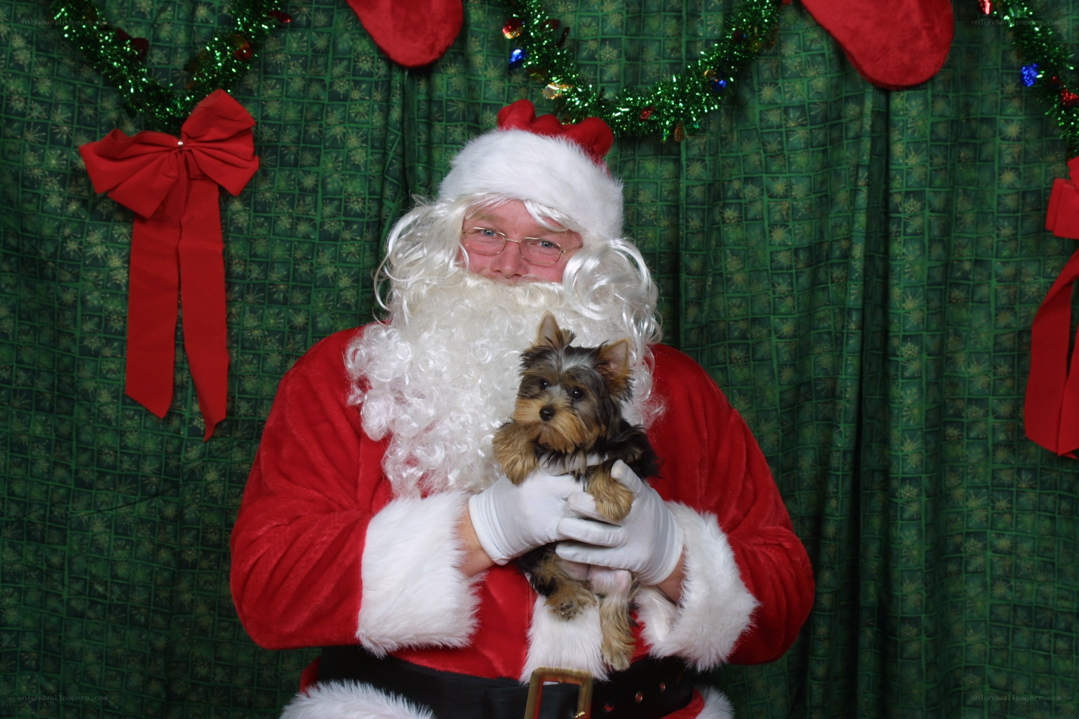 Santa holding a puppy