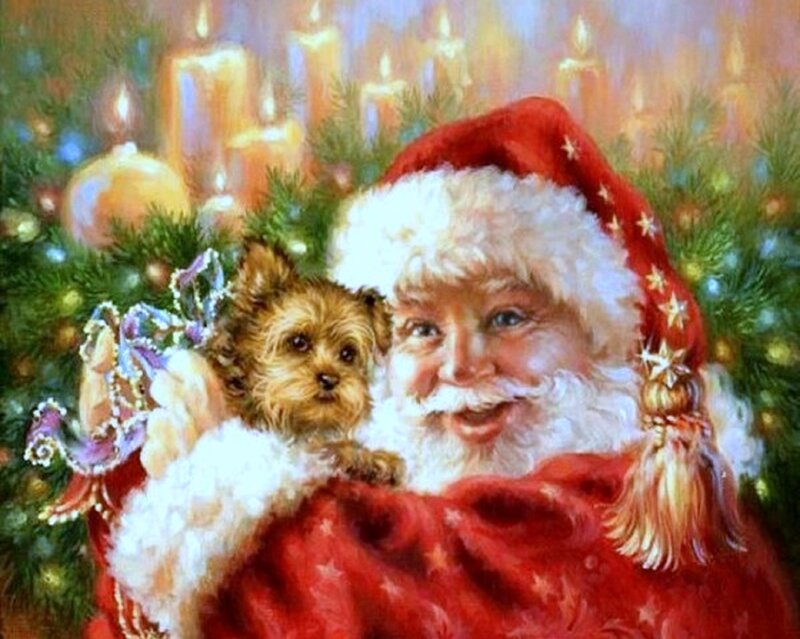 Santa Holding Puppy