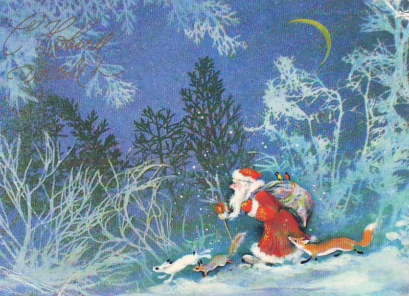 Santa in snowy forest
