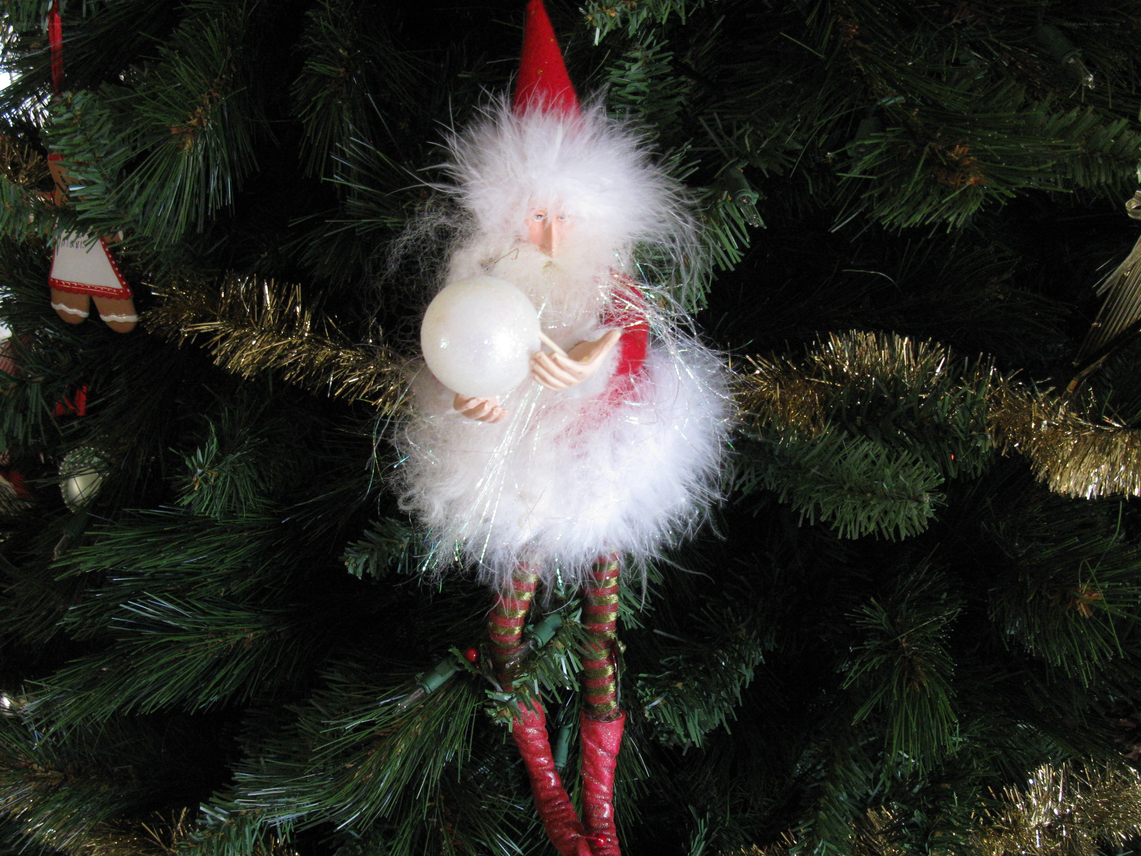 Santa ornament on tree