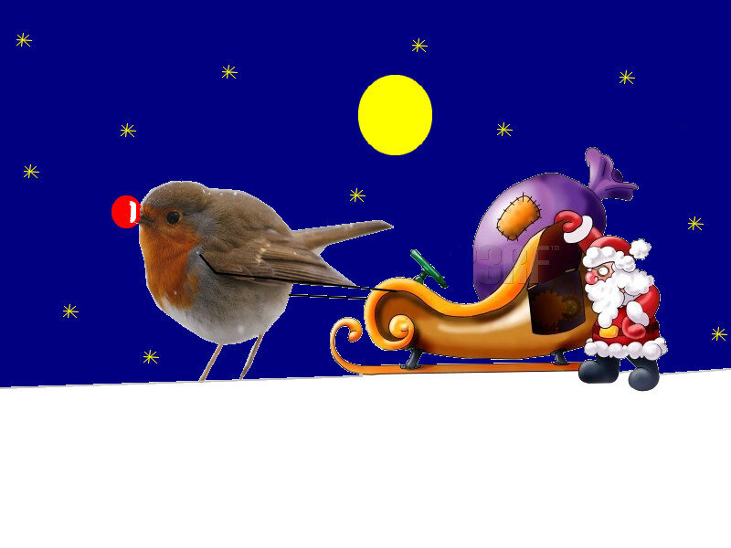 Santa's bird-pulled sleigh