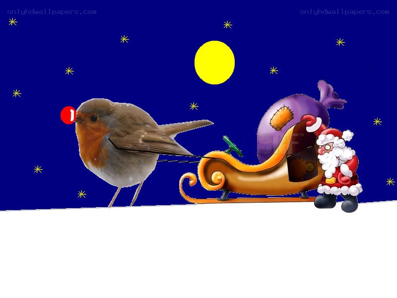 Santa's bird-pulled sleigh