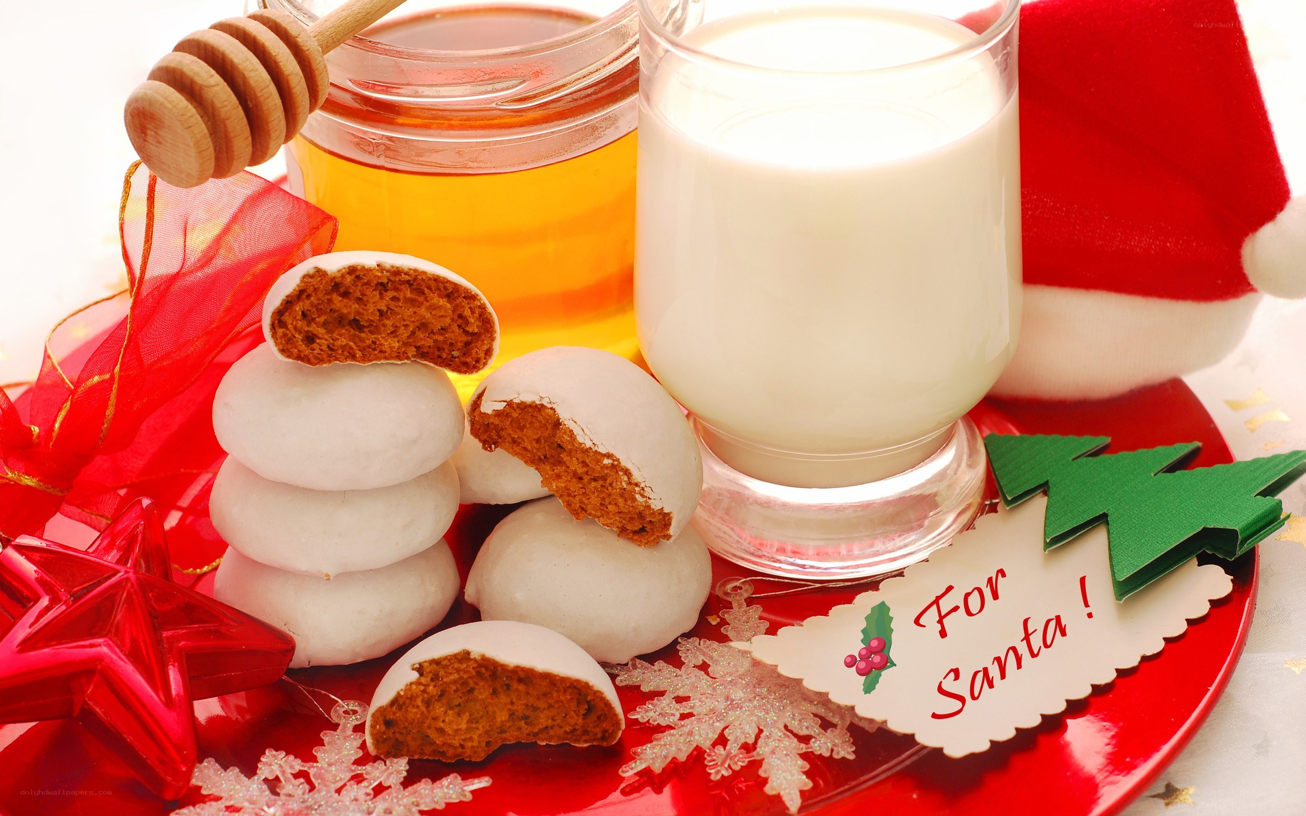 Santa's milk and cookies