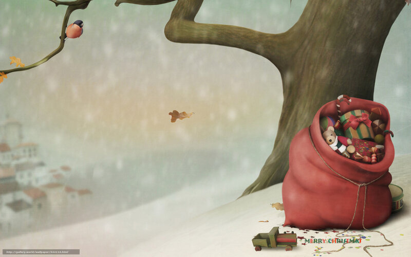 Santa's sack in winter