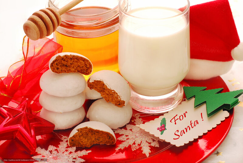 Santa's snack plate