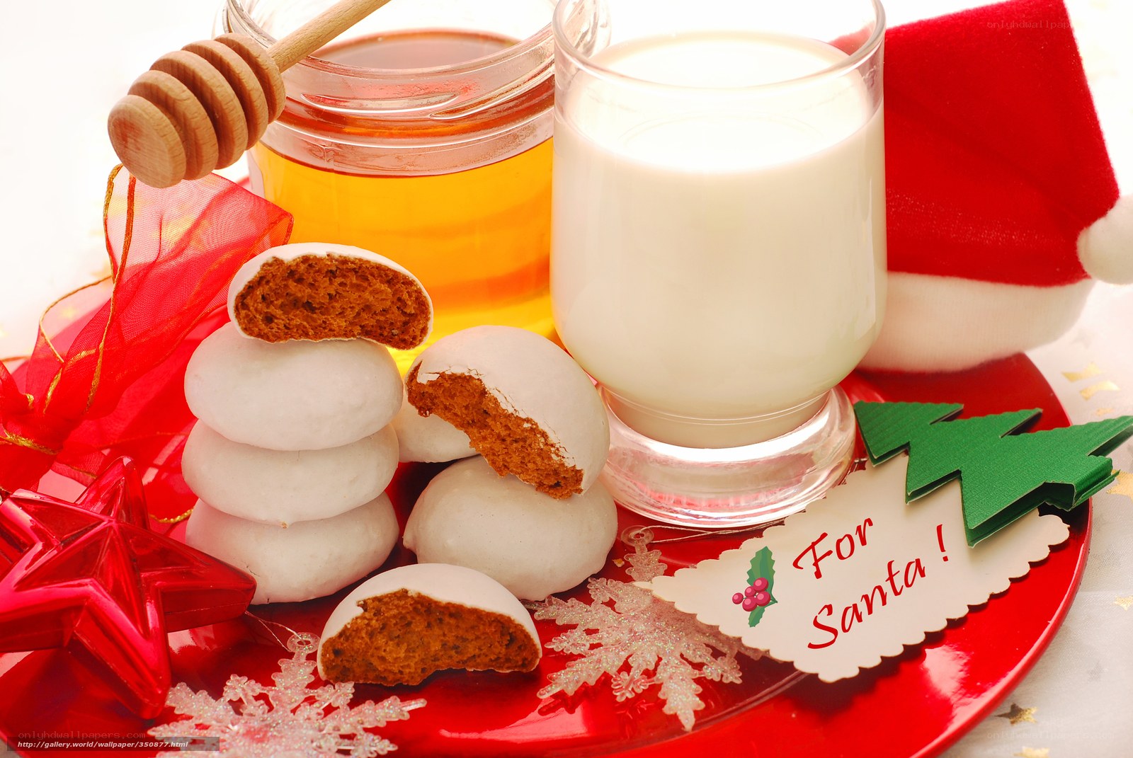Santa's snack plate