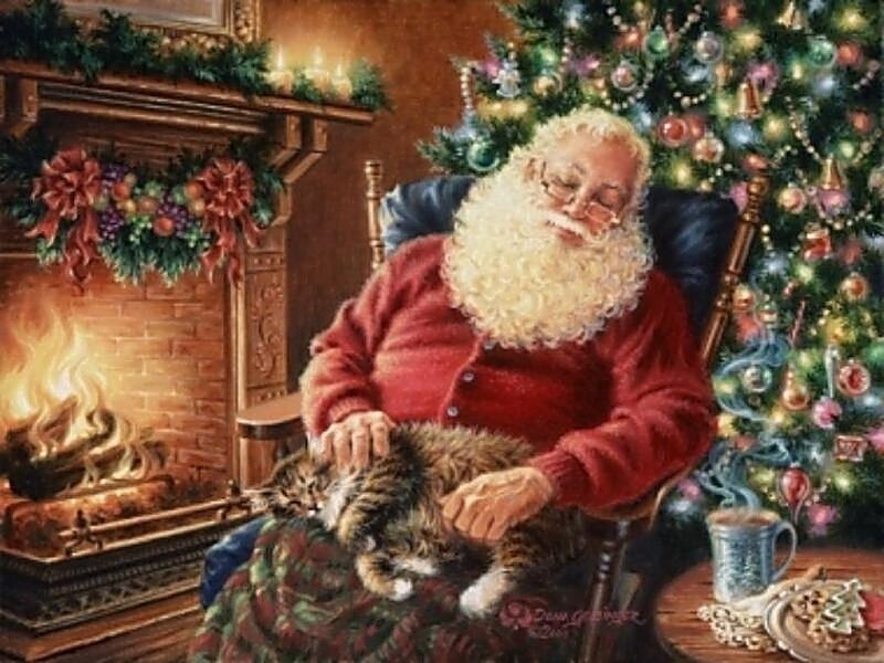 Santa sleeping with cat