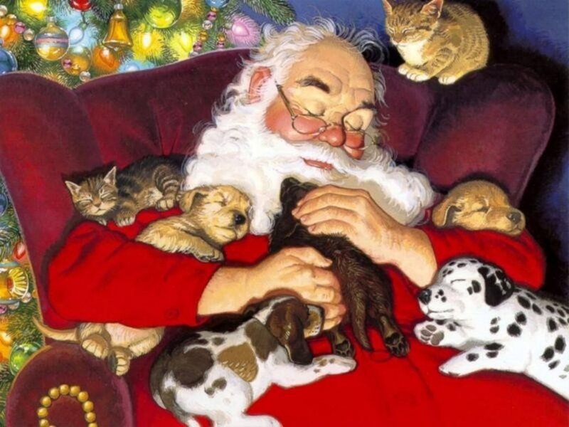 Santa sleeping with pets