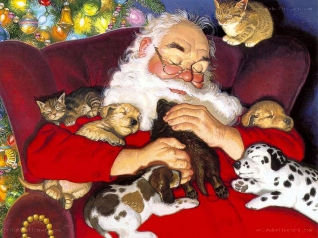 Santa sleeping with pets