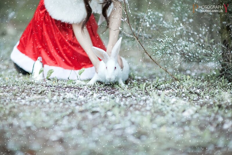 Santa with a white rabbit