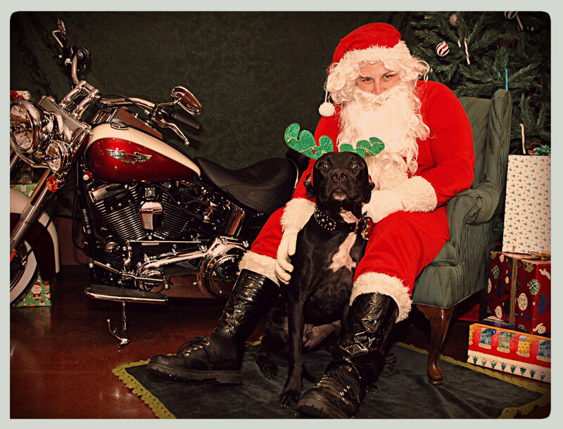 Santa with Dog